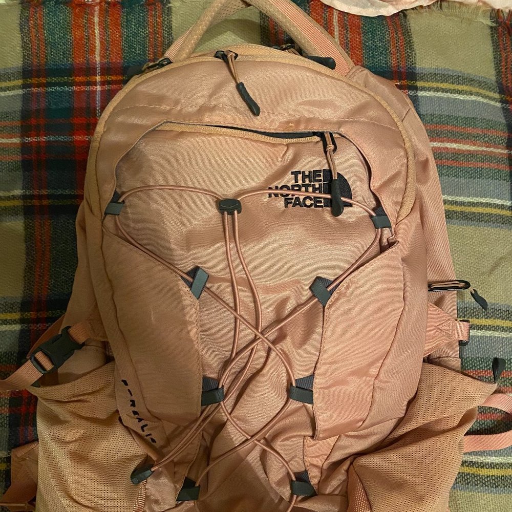 North Face Luxe Borealis Backpack